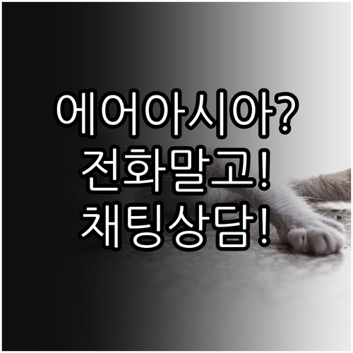 필리핀에어아시아 상담, 전화보다 빠른..