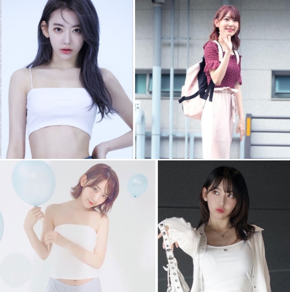 사쿠라