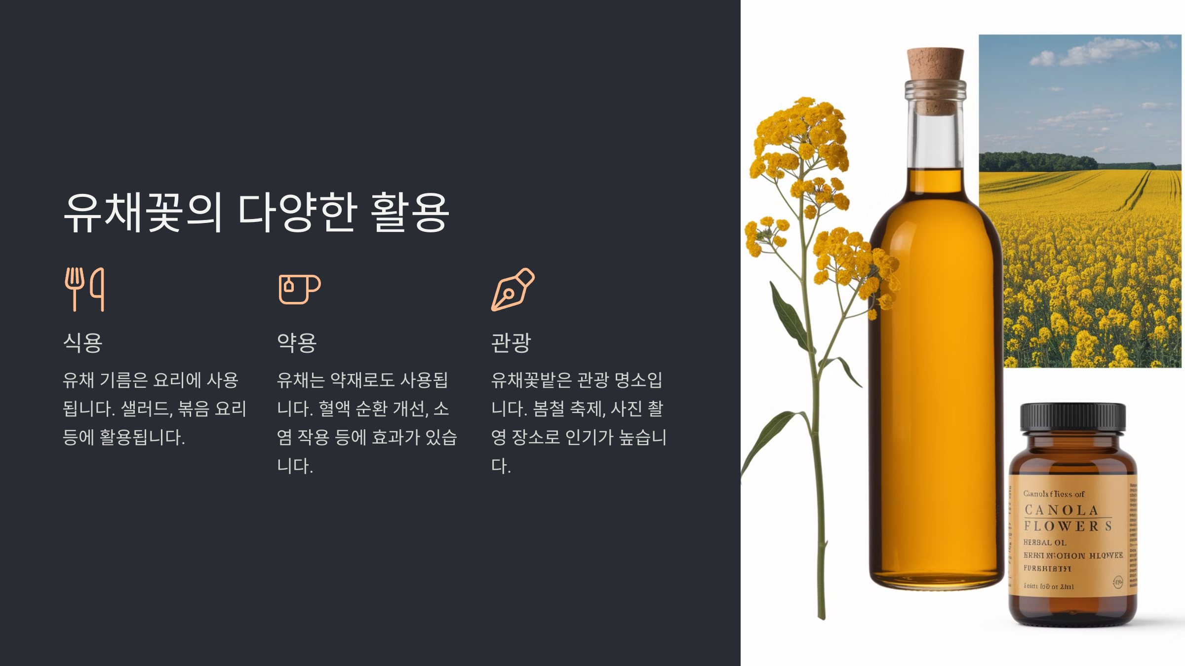유채꽃 파종 시기와 재배 방법