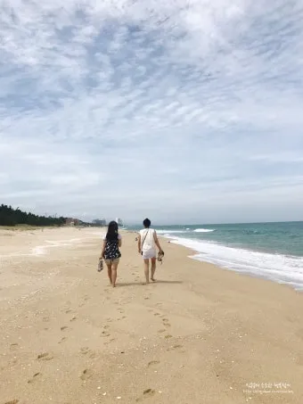 강릉 안목해변 카페거리 추천 인생샷 스팟과 카페 리스트_15
