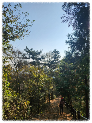 부춘산
