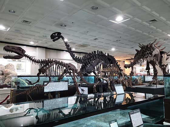 강원종합박물관