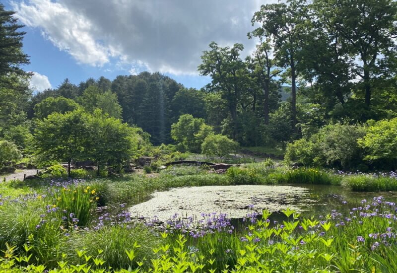 포천 국립수목원 광릉수목원 예약