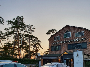 소나무집초당순두부