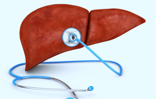 간수치가-높은-이유