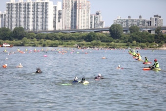 2025 쉬엄쉬엄 한강 3종 축제 완전 정복!