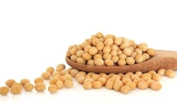 글루타치온 많이든 음식 대두, 돼지 간