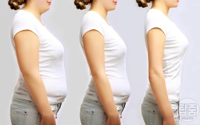 간헐적 단식 식단표 필수 식욕억제 음식,팁줌