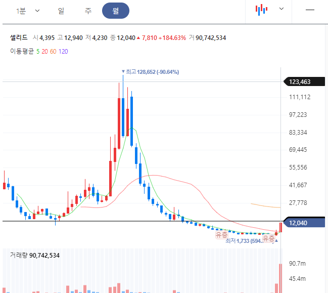 셀리드 월봉차트