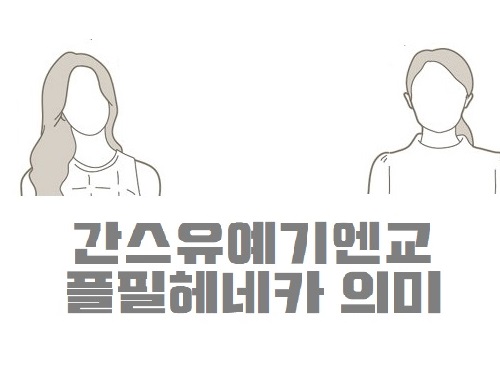 간스유예기엔교 플필헤네카 뜻 의미 직업종류