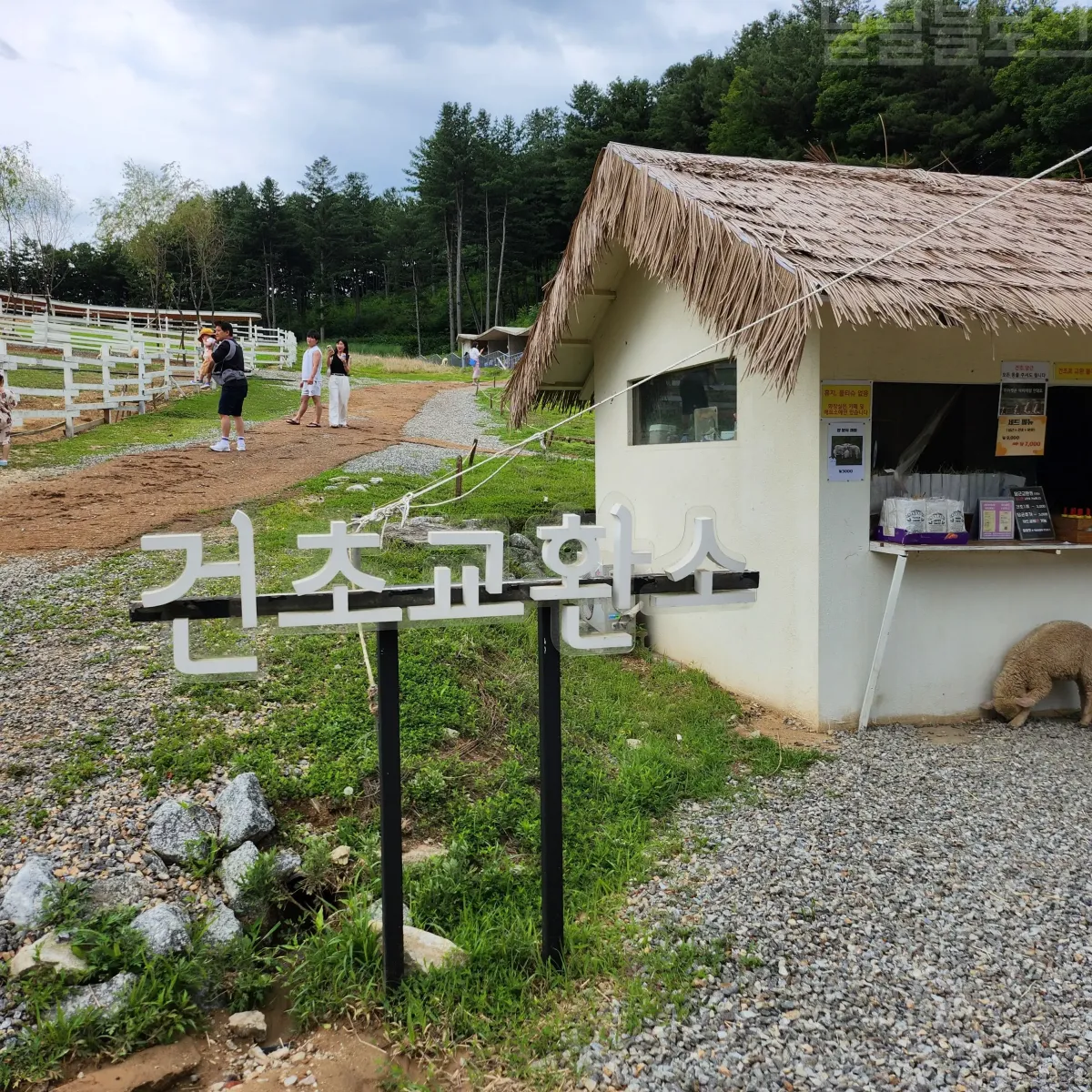 가평-양떼목장-건초교환소