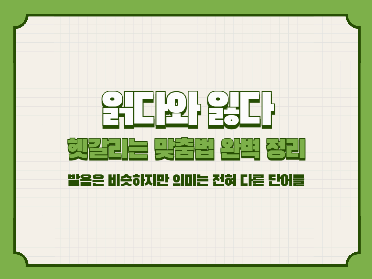 읽다와 잃다, 헷갈리는 맞춤법 완벽 정리― 발음은 비슷하지만 의미는 전혀 다른 단어들