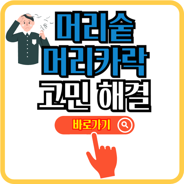 머리숱 머리카락 고민 해결 총정리