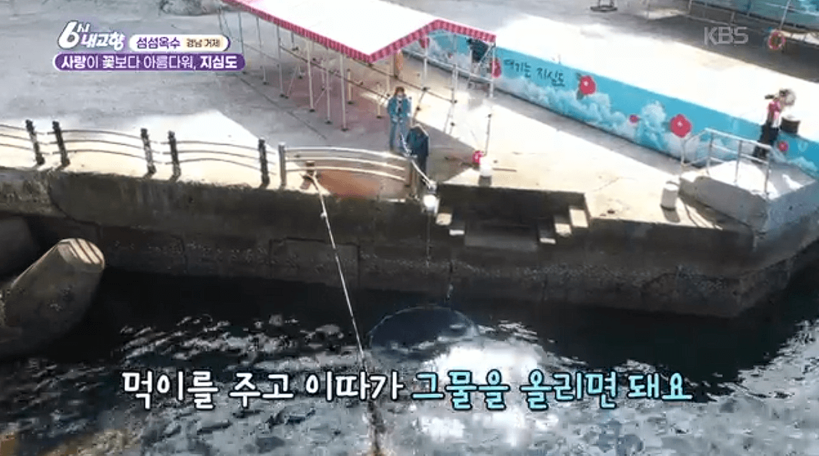 [6시내고향]경남 거제 낚시 야외 웨딩(결혼식) 예약 연락처 정보