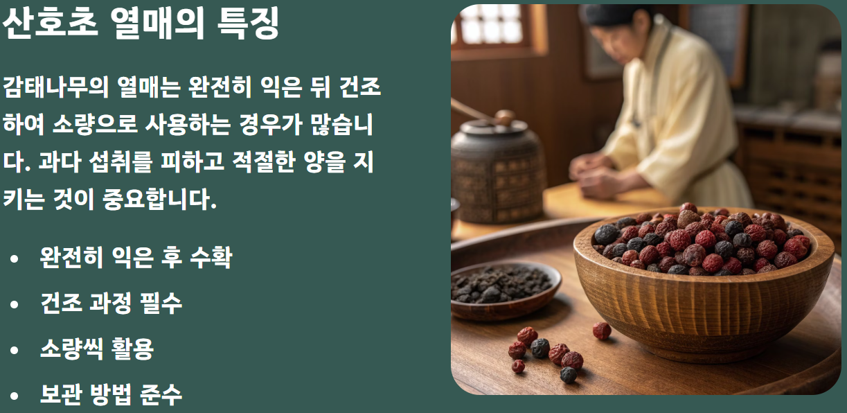 감태나무의 효능 열매 차 기름