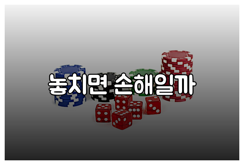 놓치면 손해일까