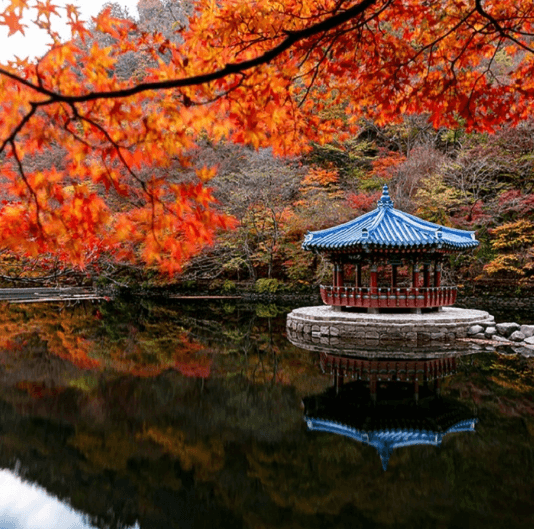 단풍여행 단풍트레킹 당일버스 여행