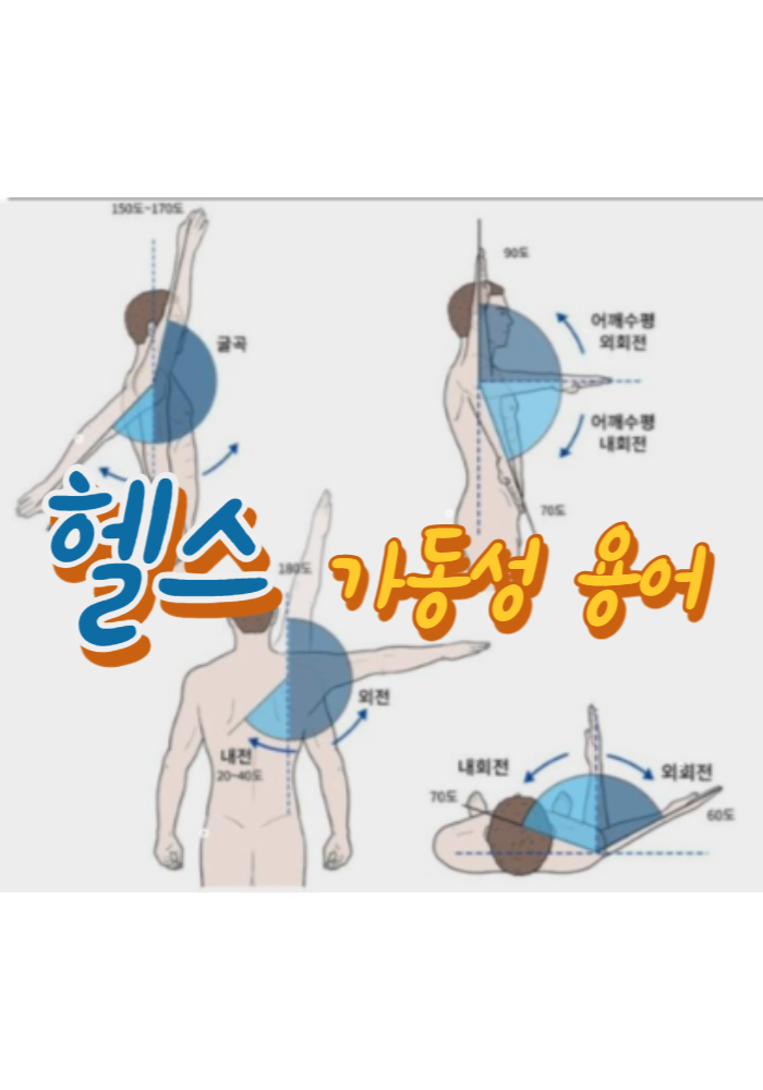 1.헬스 가동성 용어
