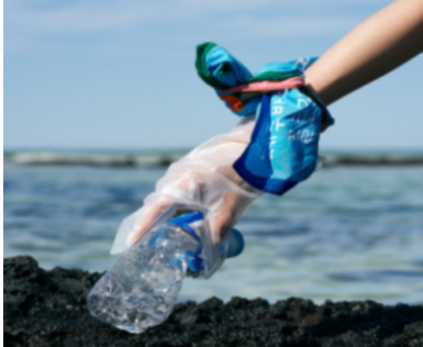 화성 뱃놀이 축제