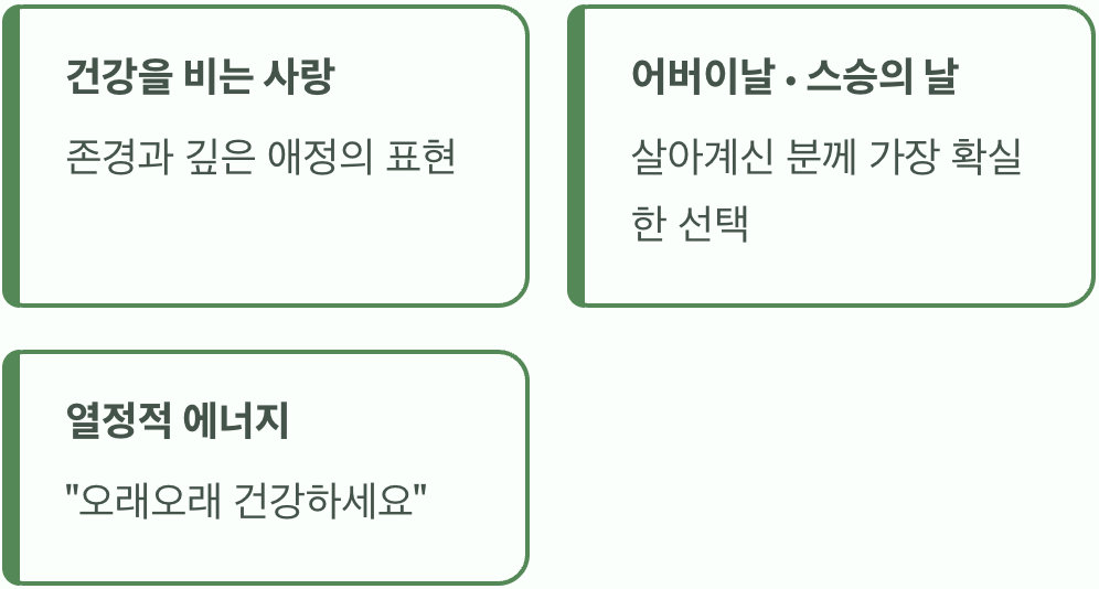 가장 대표적인 마음, 붉은색 카네이션
