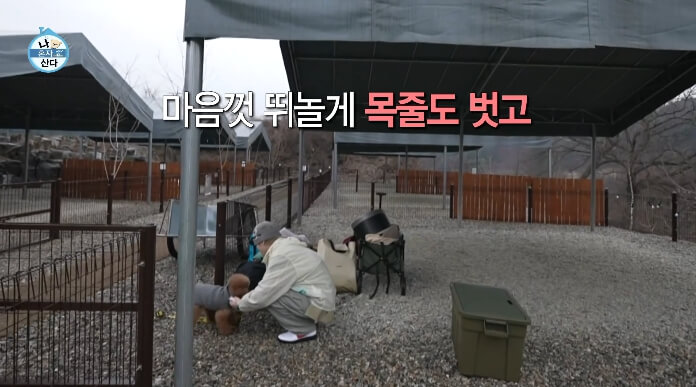 나혼산-키-솔로캠핑