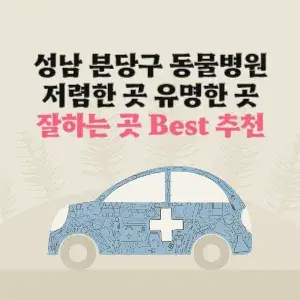 성남 분당구 동물병원 잘하는 곳 가격 저렴한 곳 추천