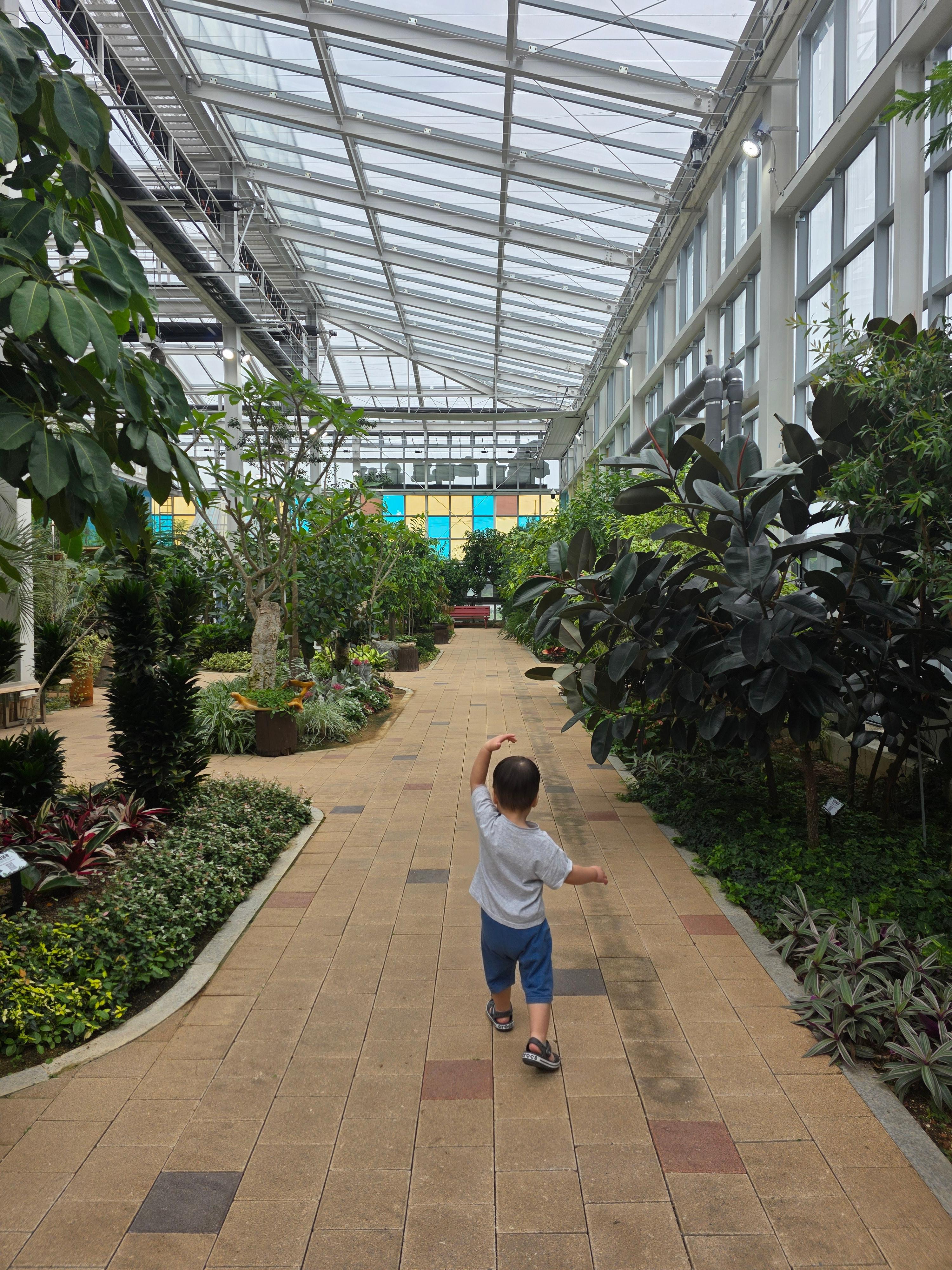 제천 아열대 스마트 온실 아이랑