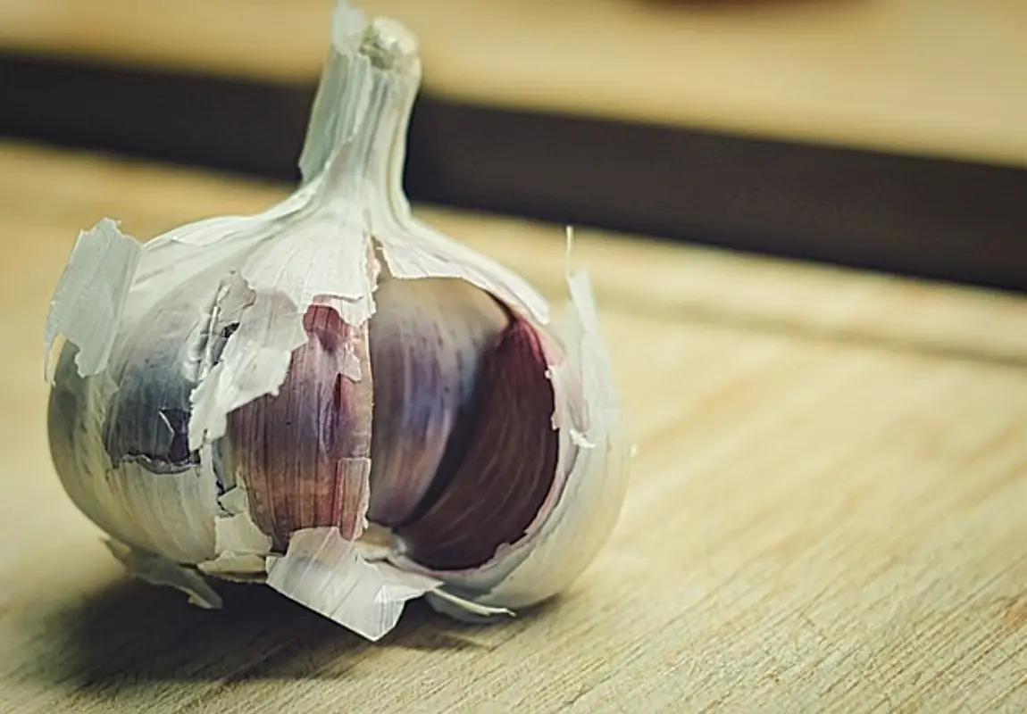 마늘장아찌 담그는법