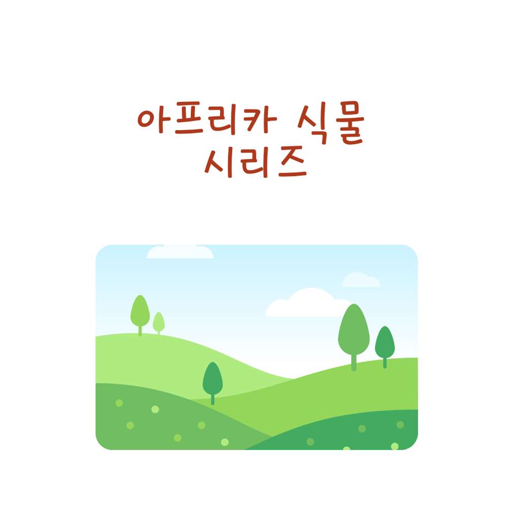 아프리카 시리즈6 — 유포르비아 오벨리사