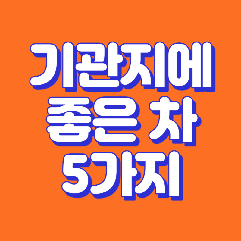 기관지에 좋은 차