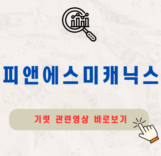 피앤에스미캐닉스