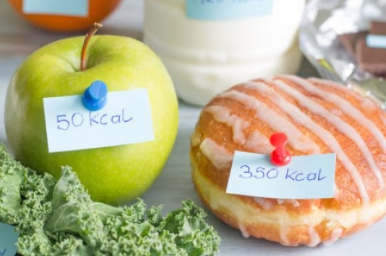 하루 권장 칼로리