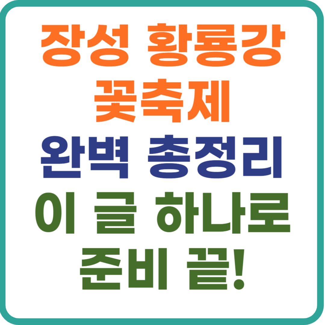 장성 황룡강 꽃축제 2025년