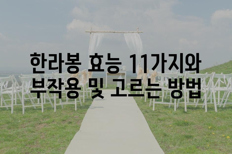 샘플 (69)