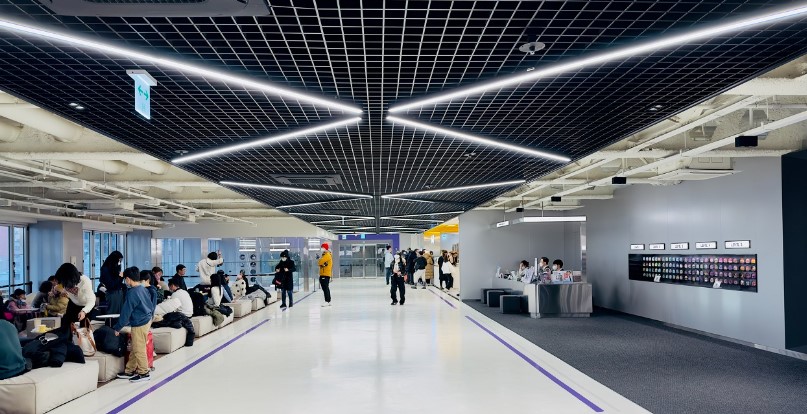 하이커 그라운드(11)