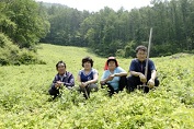 산더덕부부