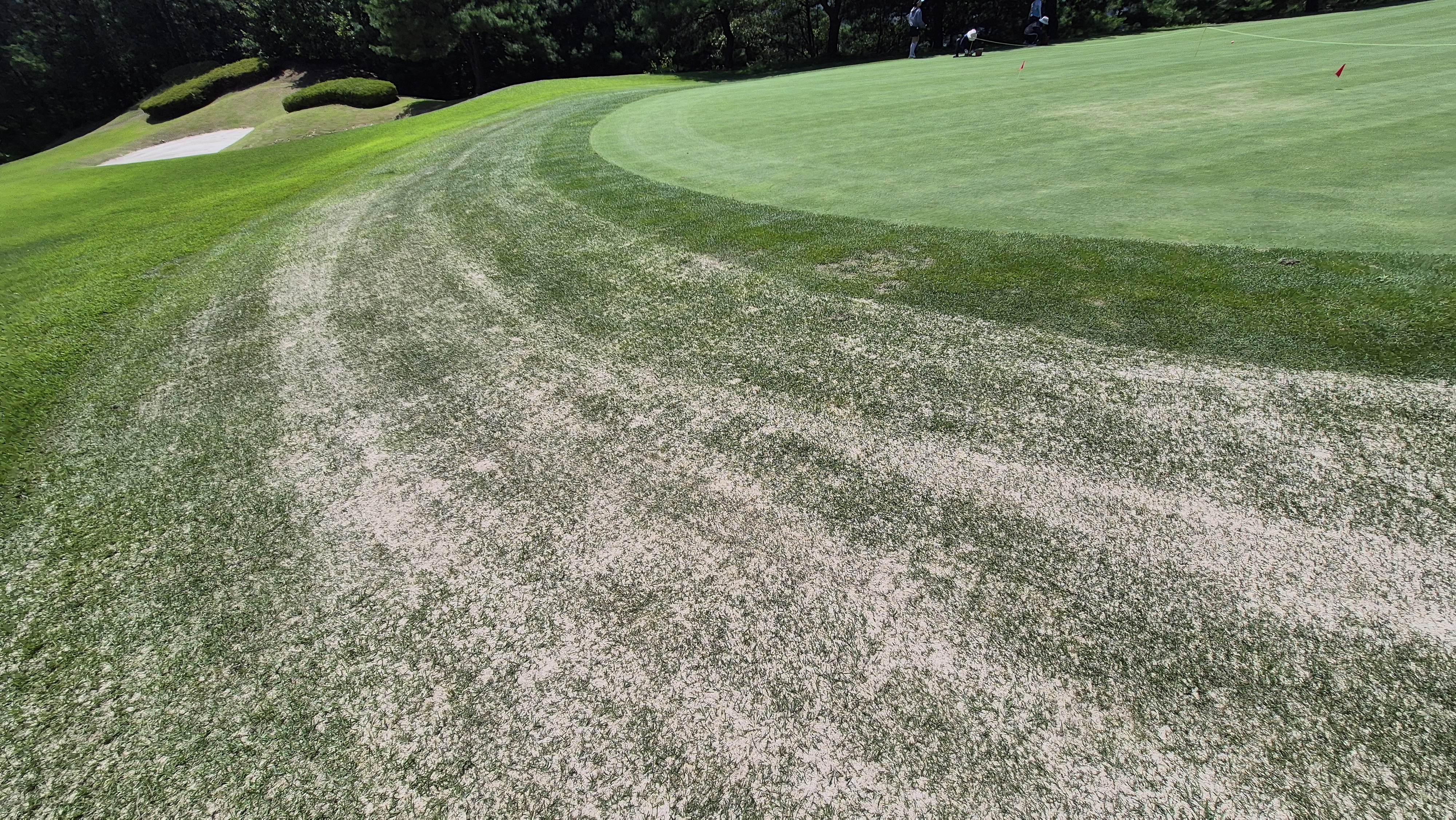 골프존카운티 화랑 라운드 후기