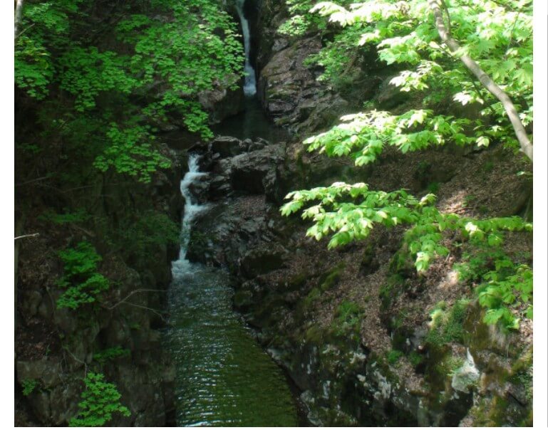 백운산자연휴양림 용소폭포