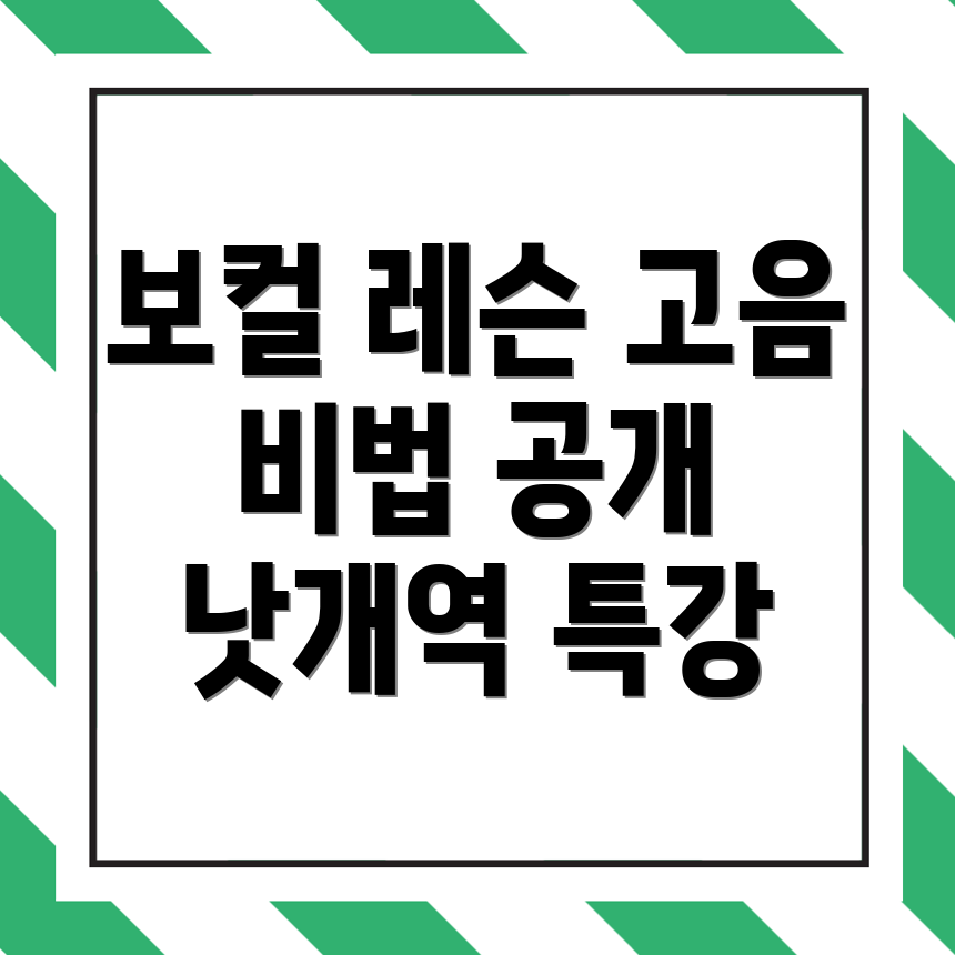 낫개역 보컬 레슨