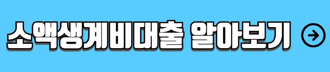 신용불량자 대출가능한곳 정부지원