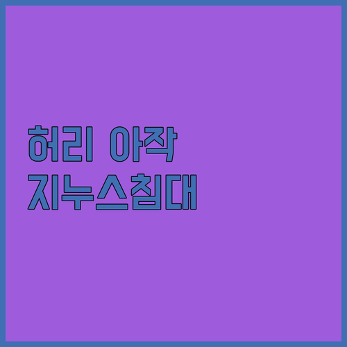 허리 아픈 사람 필독 지누스 얼티마 
