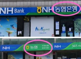 지역농협과 중앙농협 차이점 비교 정리자료_7