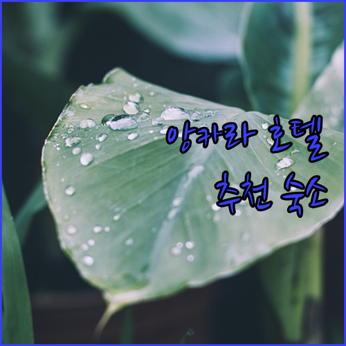 앙카라 호텔 완벽 가이드 추천 숙소와..