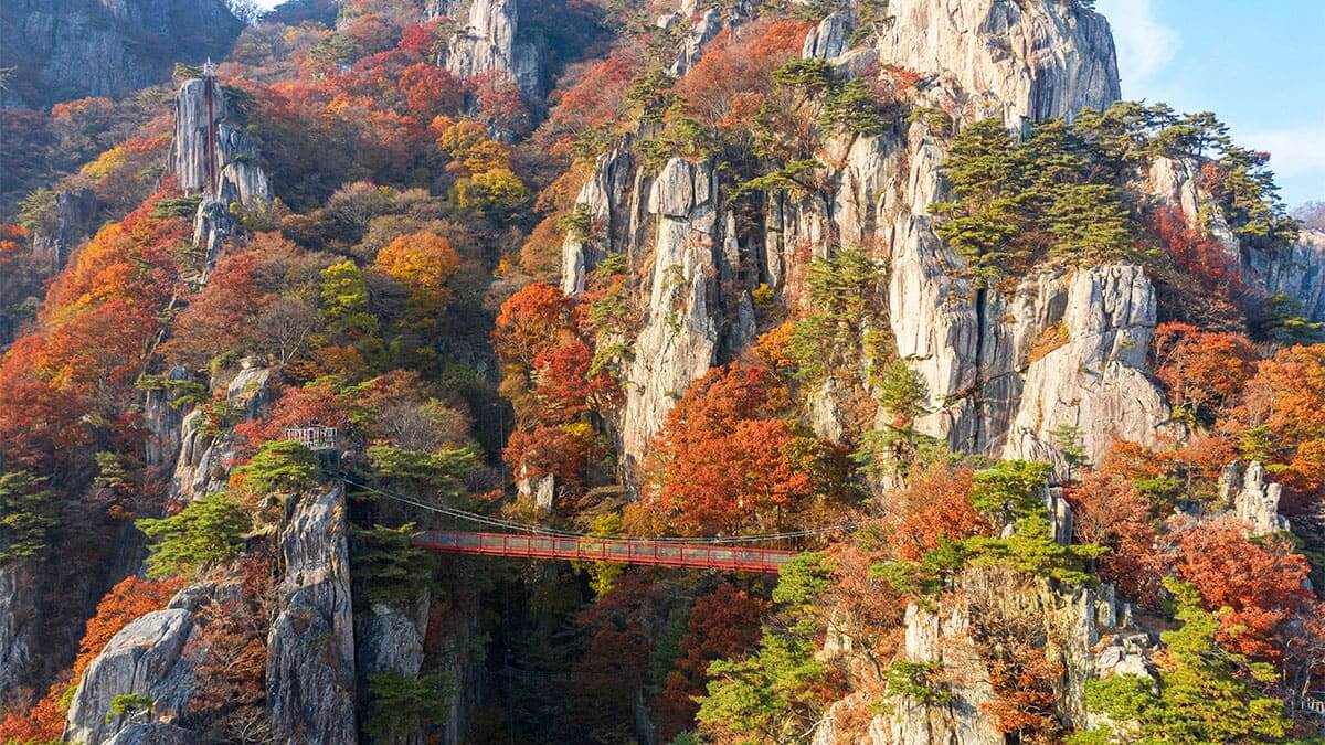 전라도 가을 여행지 추천 : 단풍으로 물든 힐링 코스 10선 (2025 최신판)