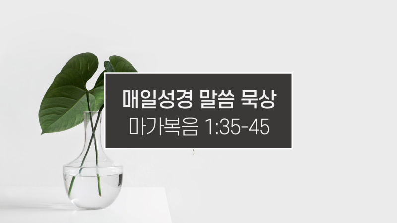 썸네일-투명한-병에-꽂힌-식물