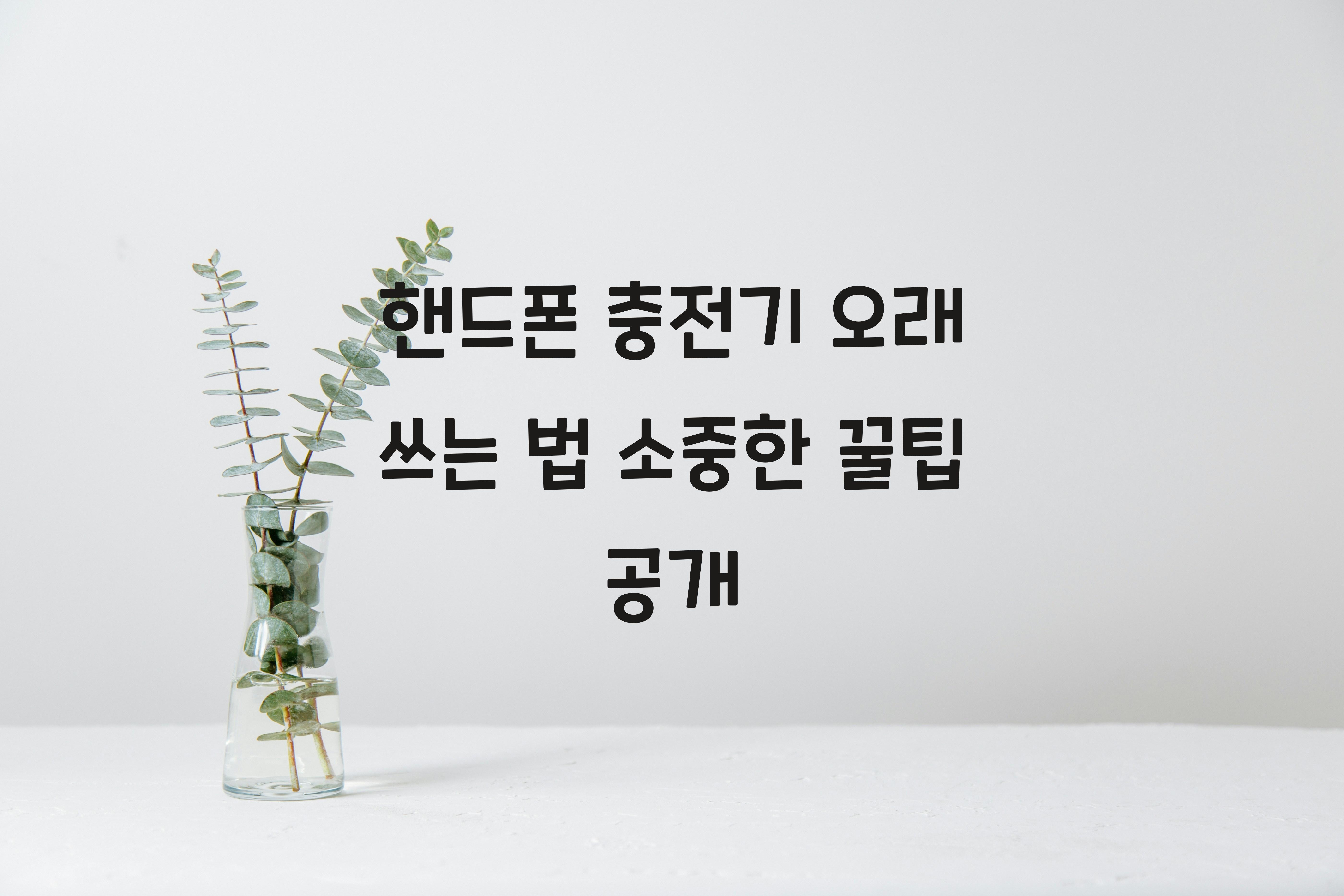 핸드폰 충전기 오래 쓰는 법
