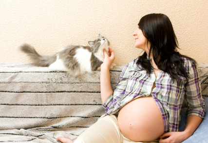 임산부와 고양이.