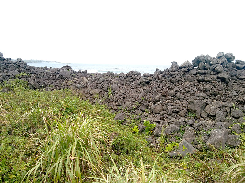 성산일출봉 옆 광치기해변가