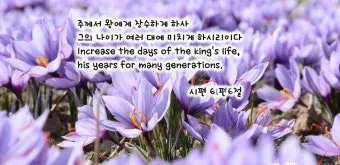 시편 61장 2절 읽기 - 내 마음이 약해질 때에 내가 땅 끝에서부터 주께 부르짖으리니_15