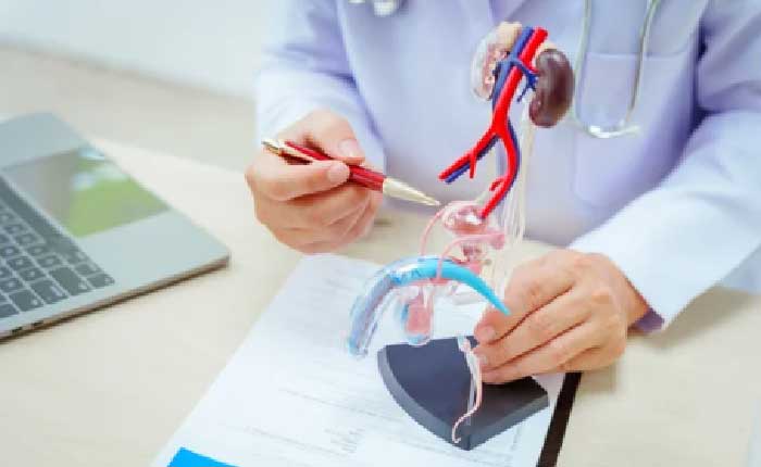 전립선비대증 수술비용 건강보험과 병원선택법